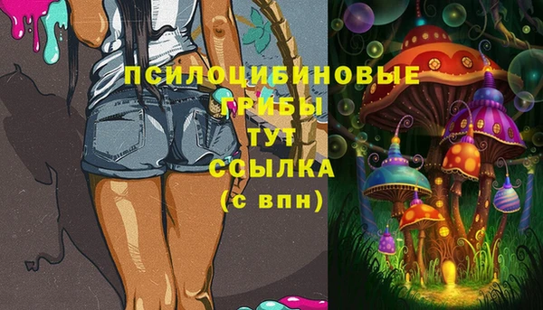 спайс Алзамай