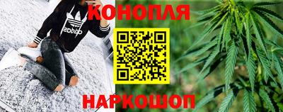 шишки Балашиха