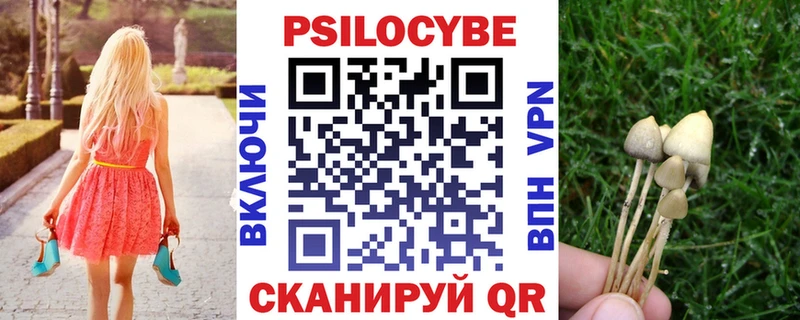 Псилоцибиновые грибы мицелий  kraken ONION  Ленинск-Кузнецкий 