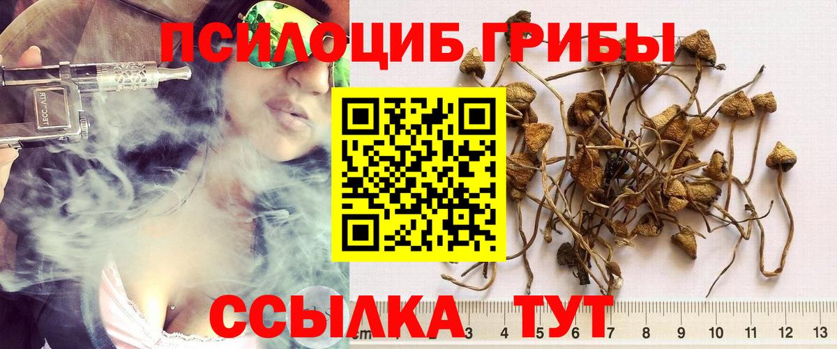 Галлюциногенные грибы Psilocybine cubensis  Вход с VPN  купить закладку  Ленинск-Кузнецкий 