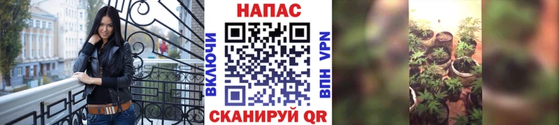 blacksprut ссылка  Ленинск-Кузнецкий  Марихуана гибрид  купить наркотик 